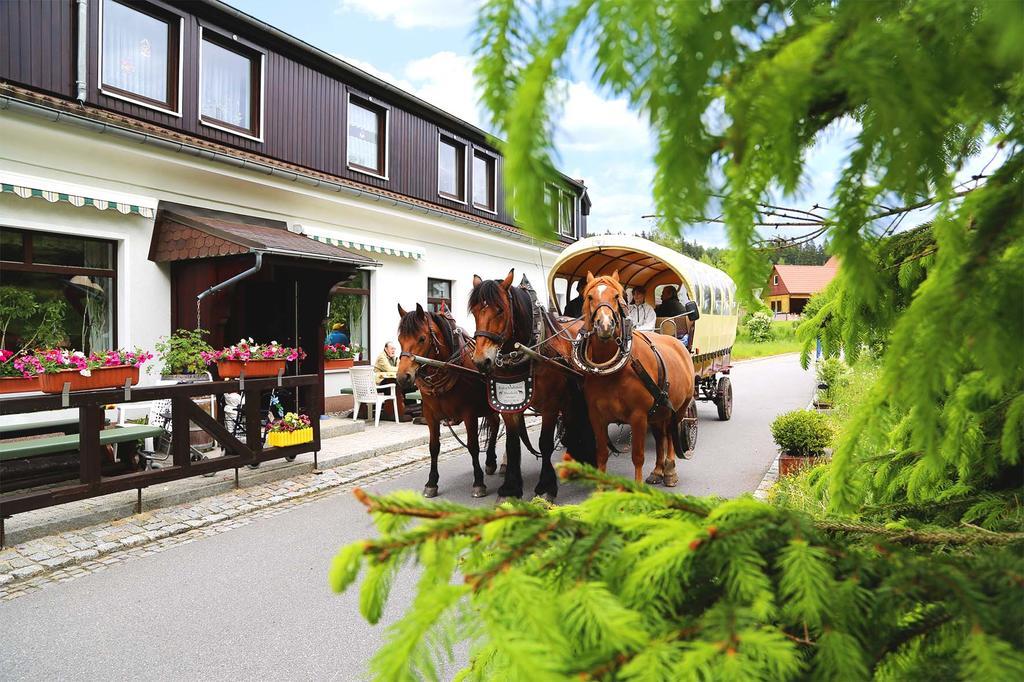 Gaststaette & Pension Waldquell Antonshohe Luaran gambar